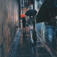红尘陌上雪，散落随花开