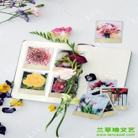 教你如何才能与直男愉快地聊天