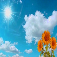 一念花开 一念落叶
